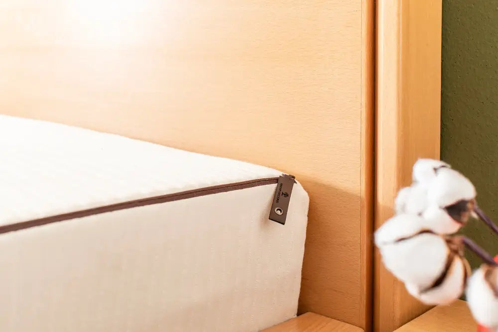 House Of Dreamz - 100% Natural Latex 18 cm height