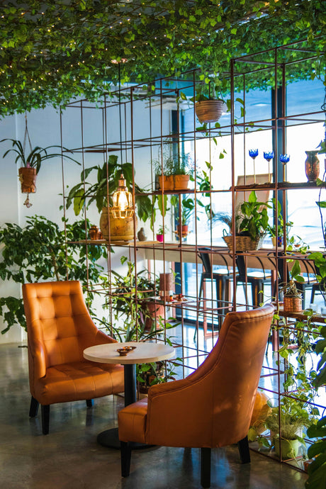 Everyday Sustainability Magic for a Greener Life - House Of Dreamz